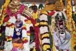 வள்ளிமலை சுப்பிரமணியர் கோவிலில் திருக்கல்யாண உற்சவம்