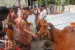 சிருங்கேரி மடம் சுவாமிகள் கோபியில் சிறப்பு பூஜை