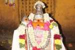 கொளஞ்சியப்பர் கோவிலில் பங்குனி உத்திரப் பெருவிழா
