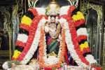 சிறப்பு அலங்காரத்தில் சரநாராயண பெருமாள் அருள்பாலிப்பு