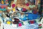 பாலா திரிபுரசுந்தரி கோவிலில் வசந்த கால மகா நவராத்திரி விழா