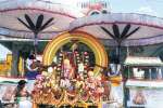 பங்குனி பெருவிழா: சூரியபிரபை வாகனத்தில் காஞ்சி ஏகாம்பரநாதர் உலா