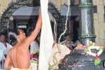 பெரியகுளம் பாலசுப்பிரமணியர் கோயில் பங்குனி விழா கொடியேற்றம்