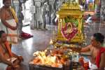 பழநி மலைக்கோயிலில் வருடாபிஷேகம்: ஏராளமான பக்தர்கள் தரிசனம்