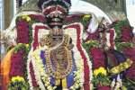 மயிலாப்பூர் கபாலீஸ்வரர் கோவில் பங்குனி திருவிழா கொடியேற்றம்