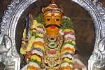 பெருமுளை முத்தையா சுவாமி கோவிலில் பரிவேட்டை திருவிழா