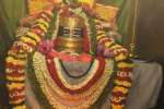 சூரிய ஒளி விழும் அபூர்வ நிகழ்வை மேக மூட்டத்தால் காண முடியவில்லை