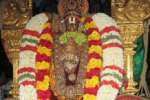 திருப்பாதிரிப்புலியூர் கோவிலில் ராமானுஜரின் 1000வது நட்சத்திர வைபவம்