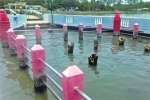 கோடை வெப்பம் எதிரொலி :வெறிச்சோடிய நவபாஷாணம்