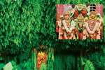 திருப்பூர் மாரியம்மன் பொங்கல் விழாவில் கறிவேப்பிலை பந்தல்