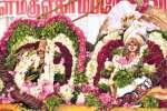 காமாட்சியம்மன் - ஏகாம்பரேஸ்வரர் திருக்கல்யாண உற்சவம்