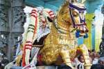 வசந்த உற்சவம்: காஞ்சி வரதர் குதிரை வாகனத்தில் பவனி