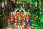 நந்தவன அலங்காரத்தில் வரதராஜ பெருமாள் அருள்பாலிப்பு