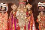 திருவள்ளூர் வீரராகவருக்கு வசந்த உற்சவம் நிறைவு