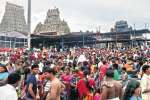 திருச்செந்தூரில் வைகாசி விசாகம் லட்சக்கணக்கில் பக்தர்கள் சுவாமி தரிசனம்