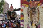 புதுச்சேரி வரதராஜ பெருமாள் கோவில் தேரோட்டம்