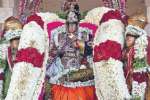 தேரில் பவனி வந்த வடகாஞ்சி வரதர்