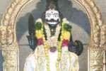 முனியப்பன் கோவில் திருவிழா கோலாகலம்