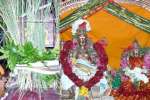 சோழபுரம் அருள்மொழிநாத சுவாமி கோயில் ஆனித்திருவிழா கொடியேற்றத்துடன் துவக்கம்