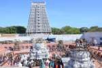 திருச்செந்தூரில் வருஷாபிஷேகம்: திரளான பக்தர்கள் பங்கேற்பு
