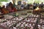 செல்வ விநாயகர் கோவிலில் 1008 சங்காபிஷேகம்