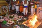 உலகநலன் வேண்டி பழநி கோயில்களில் அன்னாபிஷேகம்