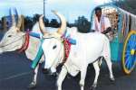 கூட்டு வண்டியில் குலதெய்வ வழிபாடு: குடும்ப ஒற்றுமைக்காக தொடரும் பழக்கம்