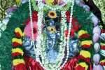 வலம்புரி கற்பக விநாயகர் கோவிலில் சங்காபிஷேக விழா
