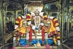சரநாராயண பெருமாள் கோவிலில் ஆடி அமாவாசை சிறப்பு பூஜை