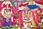 ராமேஸ்வரம், திருவாடானையில் ஆடித்திருக்கல்யாணம்