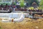 திருமலை அகரத்தில் அரவான் களபலி