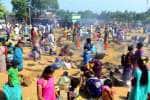 சிங்கம்புணரியில் ஆடிப்பொங்கல் விழா
