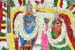 திருப்பூரில் பிட்டுத்திருவிழா கோலாகலம்: பக்தர்கள் பரவசம்