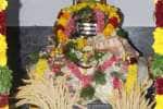 வத்திராயிருப்பு மாதங்கோயில் கும்பாபிஷேகம் கோலாகலம்