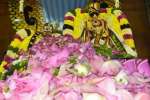பண்ருட்டி வரதராஜ பெருமாள் கோவிலில் சகஸ்ரநாம அர்ச்சனை