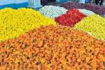 திருப்பதி பிரம்மோற்ஸவ விழா : பழநியில் இருந்து 10 டன் பூக்கள்