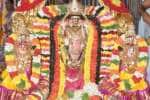 திருவதிகை சரநாராயண பெருமாள் கோவிலில் ஏகதின பிரம்மோற்சவம்