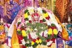 ஸ்ரீ ஸ்ரீநிவாசப்பெருமாள் திருக்கல்யாண உற்சவம்