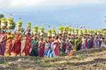 ராமநாதபுரம் முத்துமாரியம்மன் கோயில் முளைப்பாரி திருவிழா