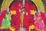 திருத்தணி கோவிலில் கிருத்திகை விழா:  காத்திருந்து பக்தர்கள் தரிசனம்