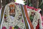 குற்றாலநாதர் கோயிலில் ஐப்பசி தேரோட்டம் விமரிசை