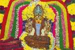 நாக சதுர்த்தி விழா: திருத்தணி கோவில்களில் திரளான பெண்கள் வழிபாடு