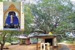 விழுதில்லா ஆலமர நிழலில் வீற்றிருக்கும் பட்டாபிராமன்