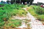 பாழாகும் பழநி பக்தர்கள் நடைபாதை