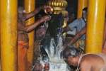 பிரதோஷத்தை முன்னிட்டு தர்மபுரி சிவன் கோவில்களில் சிறப்பு வழிபாடு