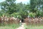 வேண்டியதை நிறைவேற்றும் வேல் காணிக்கை