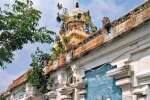 வைகுண்ட பெருமாள் கோவில் கோபுரத்தில் வளர்ந்த செடிகளை அகற்றணும்!