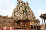 விருத்தகிரீஸ்வரர் கோவில் கோபுரங்களில் செடிகள் அகற்றப்படுமா?