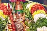 திருப்பரங்குன்றம் முருகப்பெருமானுக்கு பட்டாபிஷேகம்