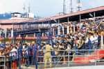 சபரிமலை இரவுநேர பயணம்: பக்தர்களுக்கு எச்சரிக்கை .. யானைகள் நடமாட்டம் அதிகரிப்பு